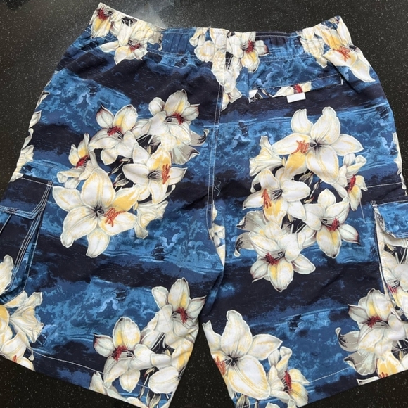 Island Shores Swim Shorts - Picture 3 of 9